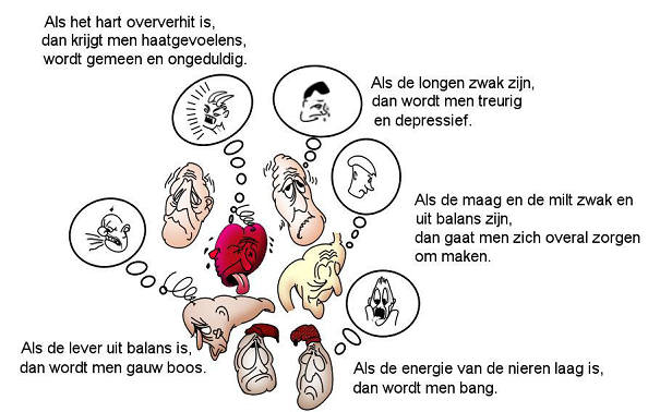 Orgaan opstellingen